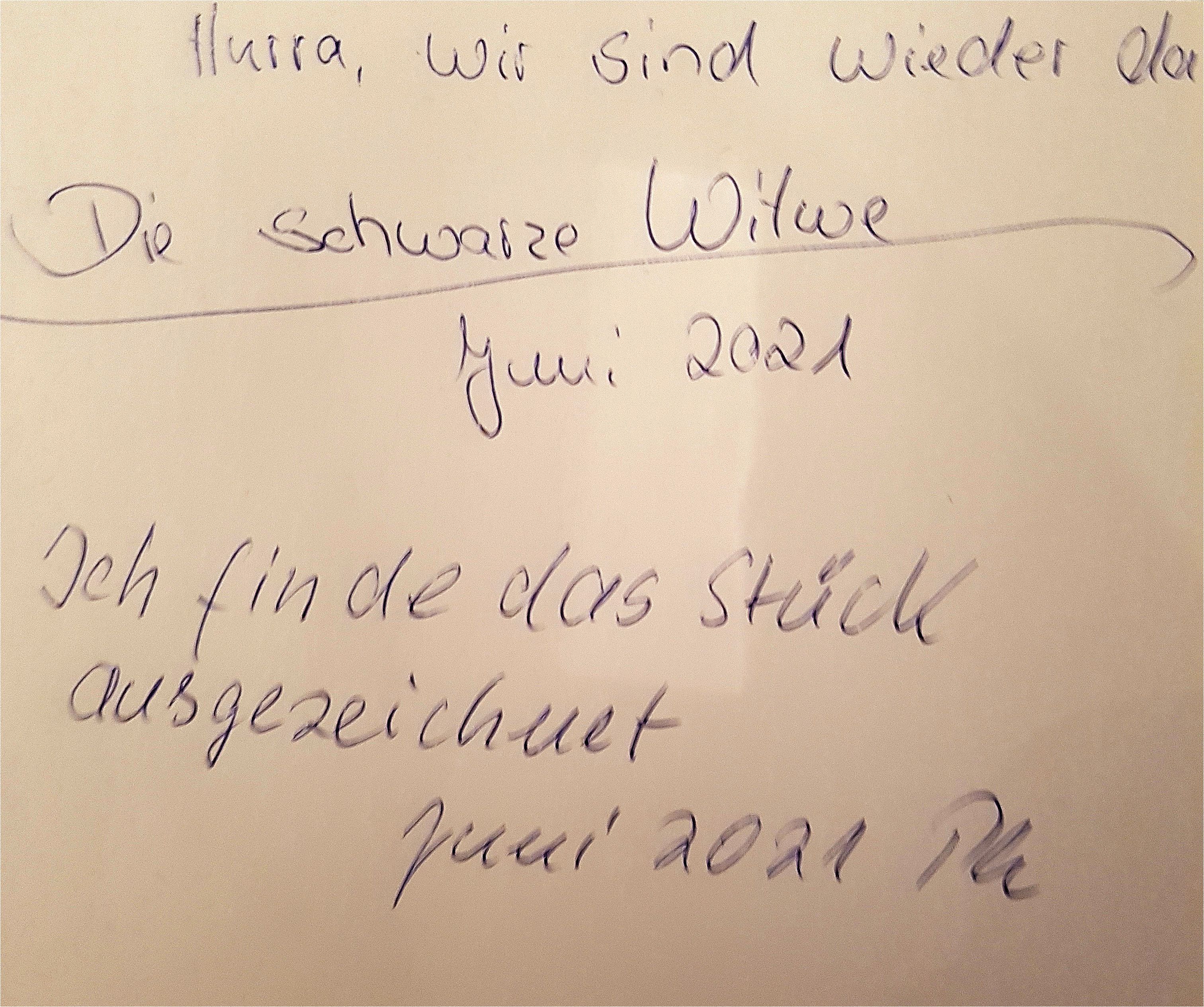 Die schwarze Witwe